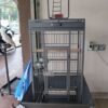 Buy Parrot  Cages Online